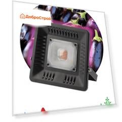 Фитопрожектор для растений светодиодный Эра FITO-50W-LED-BLUERED для цветения и плодоношения 50Вт