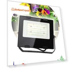 Фитопрожектор для растений светодиодный Эра FITO-50W-Ra90-LED для цветения и плодоношения