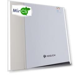 Настенный газовый котел Moguchi