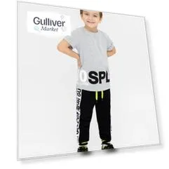 Серая футболка с принтом Gulliver (98)