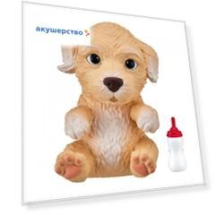 Интерактивная игрушка Little live Pets Сквиши-щенок OMG Pets! Пудель