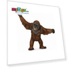 Коллекционная фигурка Collecta Орангутан, L