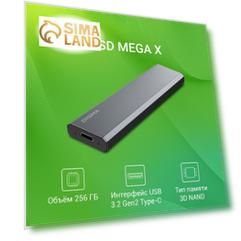Накопитель SSD Digma USB 3.2 256Gb DGSM8256G1MGG MEGA X 1.8" темно-серый