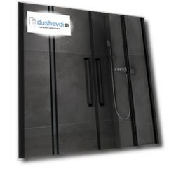 Душевая дверь Abber Schwarzer Diamant 170x195 AG33170BH профиль черный, стекло прозрачное
