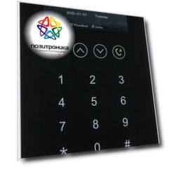Видеопанель Dahua DHI-VTO6521H черный