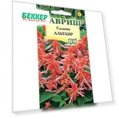 Сальвия Альтаир Гавриш