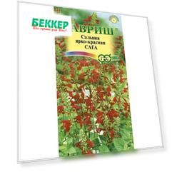 Сальвия Сага Гавриш