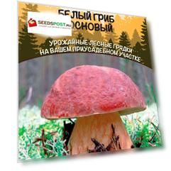 Семена Уральский дачник Мицелий Белый гриб Сосновый, 30 мл