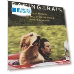 The Art of Racing in the Rain