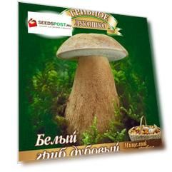 Семена Гавриш Гриб Белый Дубовый на зерновом субстрате, 15 мл