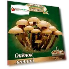 Семена Гавриш Гриб Опенок Летний на древесной палочке, 12 шт.