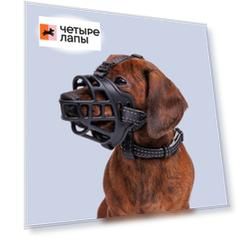 HiPet Намордник для собак силиконовый Ergonomic, S, обхват морды 18-21 см