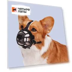 HiPet Намордник для собак силиконовый Ergonomic, M, обхват морды 21-26 см