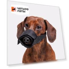 Rungo Намордник для собак нейлоновый, S, обхват морды 18-20 см