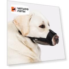 Rungo Намордник для собак нейлоновый, XL, обхват морды 22-26 см