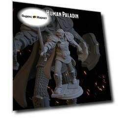 Паладин 49,7мм человек мужчина фигурки/миниатюры (ДнД, DnD, D&D, Dungeons & Dragons, Pathfinder, Подземелья и Драконы, Wargames)