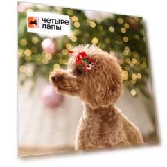 Petmax Бантики с колокольчиками для собак и кошек, 4х3,5 см, красные, 2 шт.