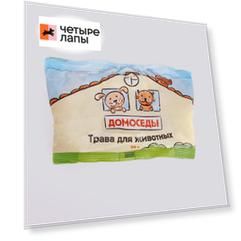 Семена для выращивания травы для кошек