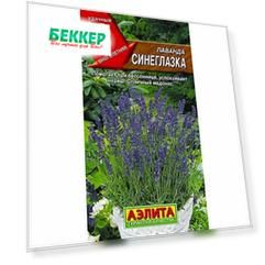 Лаванда Синеглазка Аелита
