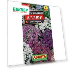 Алиссум Аллюр, смесь окрасок Аелита