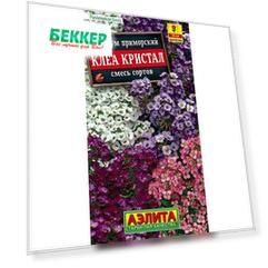 Алиссум Клеа кристал, смесь окрасок Аелита