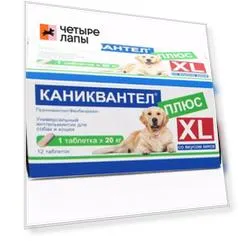 Euracon Pharma GmbH Каниквантел плюс XL Антигельминтный препарат для собак и кошек со вкусом мяса, 12 таблеток