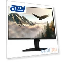 Монитор 23.8" Prime Box Монитор Prime Box EAGLE M24HVIB