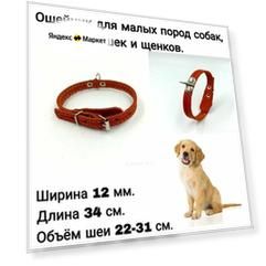 Ошейник из натуральной кожи для собак мелких пород и щенков 12 мм*34 см. Объём шеи 22-31 см. Оранжевый.