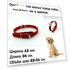 Ошейник из натуральной кожи для собак мелких пород и щенков 12 мм*34 см. Объём шеи 22-31 см. Расстояние между отверстиями 2 см. Кожаный, повседневный ошейник.