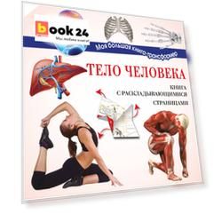 Тело человека