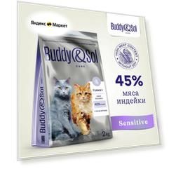 Корм для кошек с чувствительным пищеварением Buddy&Sol 2 кг суперпремиум-класса сухой с индейкой