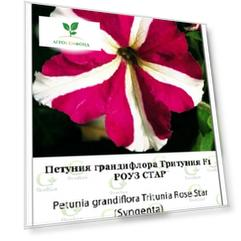 Петуния грандифлора Тритуния Роуз Стар 100др (Syngenta)