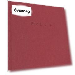 ESCAPE/Diary. Невозможное сообщество. Книга 1. Хроника Программы ESCAPE (1999-2010) (книга на русском и английском языках)