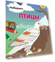 Птицы. Кто где обитает. Обучающая раскраска с наклейками