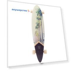 Ridex Лонгборд Beverly 39х9" Abec-9