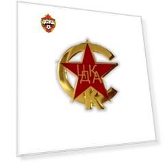 Значок эмблема ЦДКА