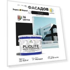 Краска-эмаль Pliolite всесезонная, зимняя, для всех типов поверхностей, антикоррозионная, RAL 9005, черный, матовая, 12,5 кг.