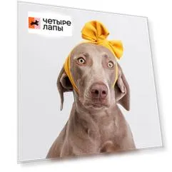 Rurri Повязка на голову для собак и кошек, желтая (унисекс)