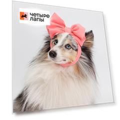 Rurri Повязка на голову для собак и кошек, розовая (унисекс)