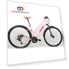 Велосипед городской Titan Racing Transporter Madison, 28", Pastel Pink, 2023, 2453100210435 (Размер: S (150-165 см), Цвет: Pastel Pink)