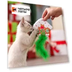 Rurri Игрушка для кошек Рождественская избушка из новогодней коллекции, 20х12х0,5 см