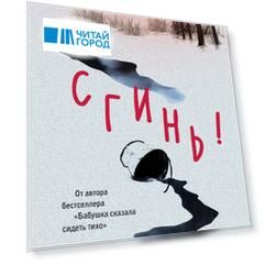 Сгинь!: роман