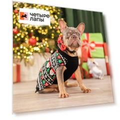Petmax Свитер с Дедом Морозом для кошек и собак, XL, черный