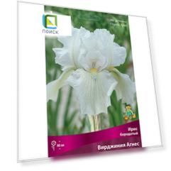 Ирис бородатый Вирджиния Агнес (Iris germanica Virginia Agnes)