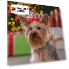 Petmax Бантик новогодний с варежкой для кошек и собак, 2 шт., 4,5х3,5 см