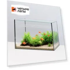 WATERA Аквариум (40х21х26 см) с покровным стеклом, 20 л