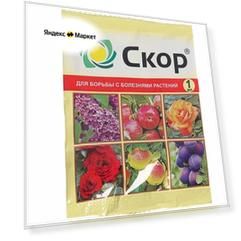 Скор, средство для защиты плодовых и овощных культур от комплекса болезней, 1 мл