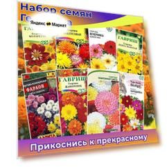 Набор семян Георгины "Георгинообразная смесь", набор 8 шт, смесь сортов