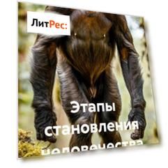 Этапы становления человечества