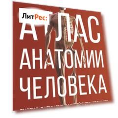 Атлас анатомии человека. Русско-латинско-английское издание